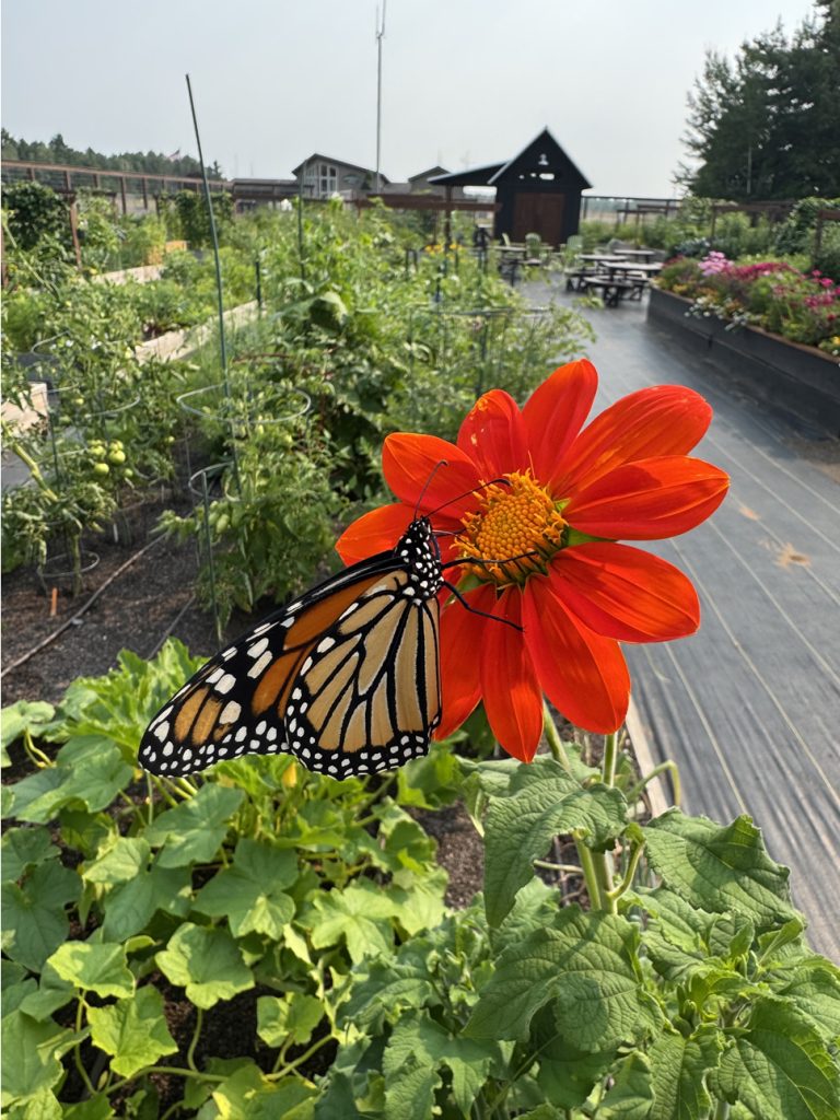 grow-garden-2026_1360